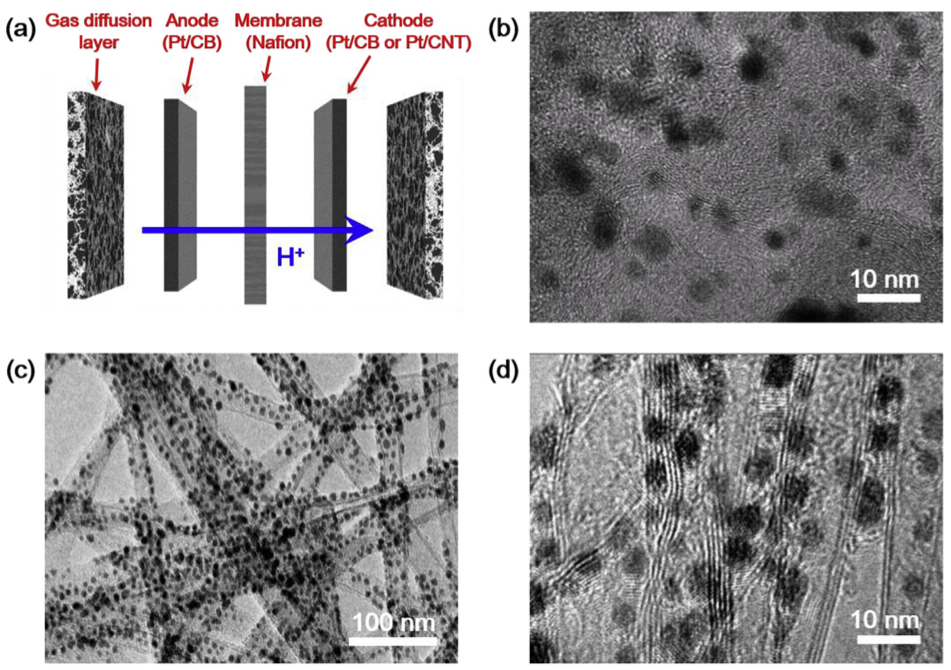 A representative image of CNT paper coauthored with Lee.