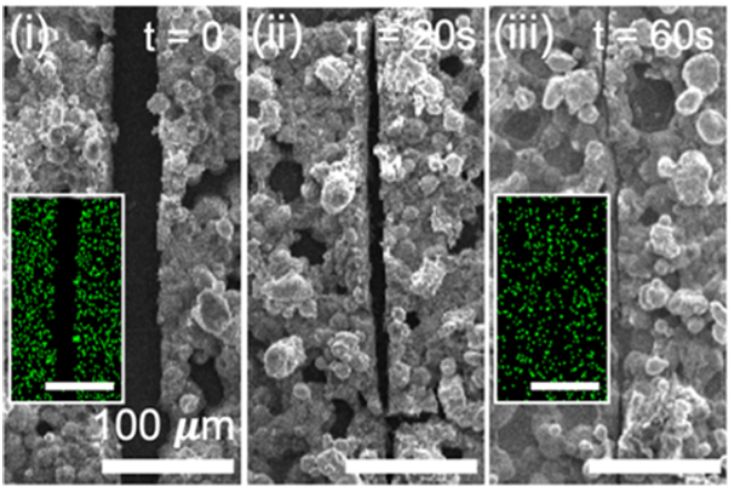 A representative image of self-healing corrosion-resistant surface paper.