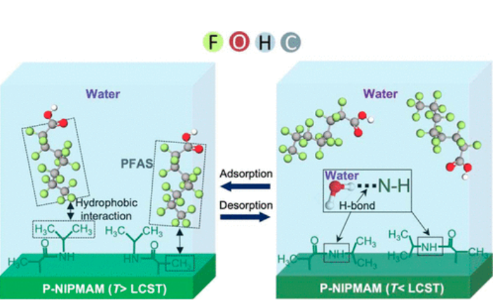 A representative image of LCST-based PFAS paper.