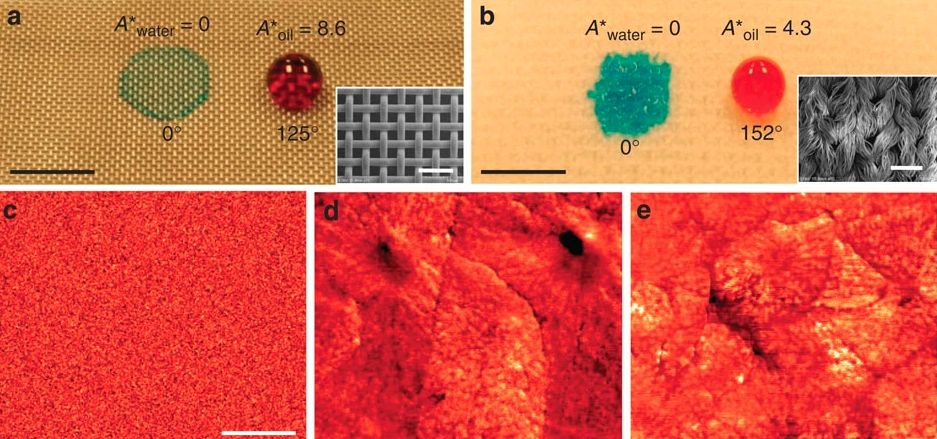 A representative image of hygro-responsive membrane paper.