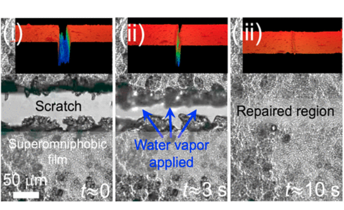 A representative image of humidity-driven self-healing paper.