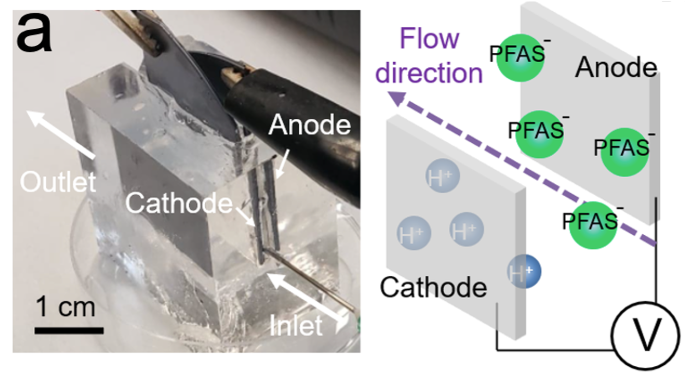 A representative image of reversible of PFAS on graphite paper.