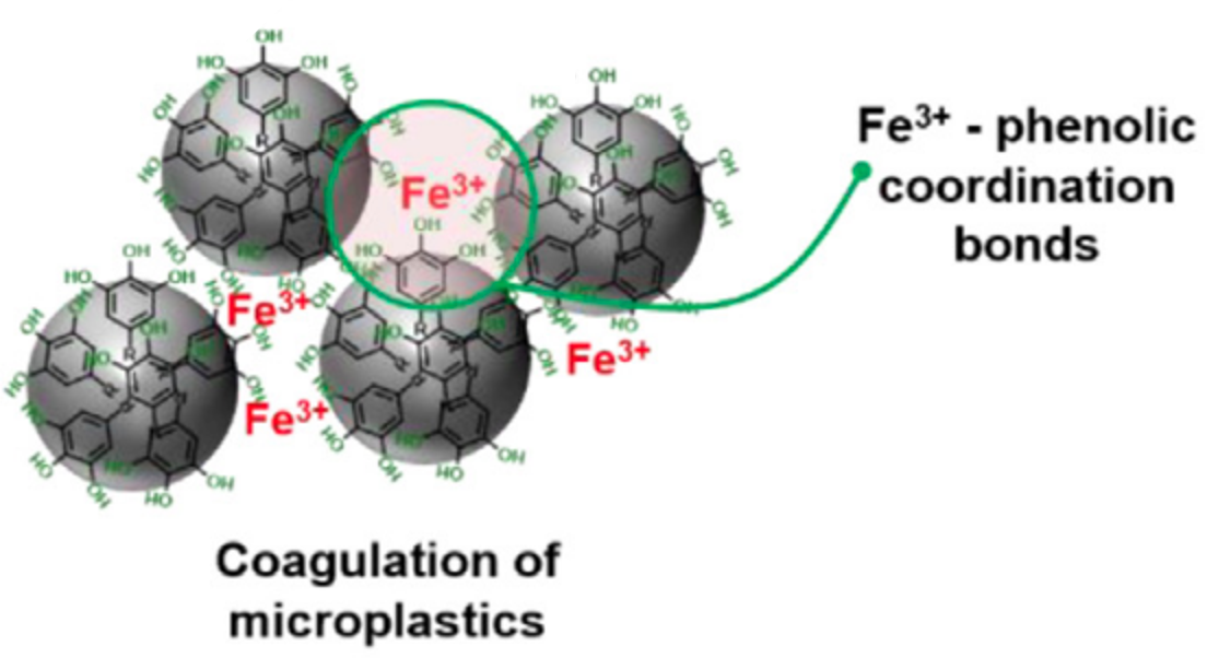 A representative image of phenolic-modified microplastic removal paper coauthored with Seo.