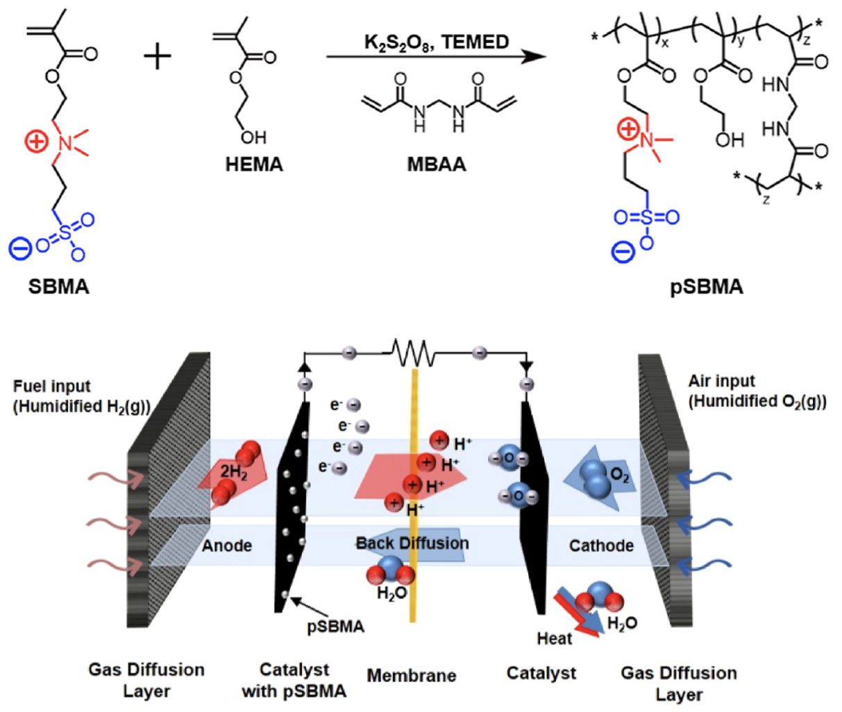 A representative image of SBMA fuel cell paper coauthored with Lee.