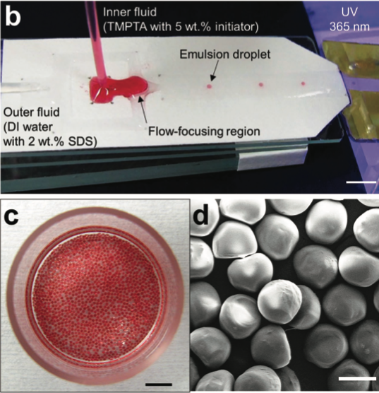 A representative image of special wettability microfluidics paper.