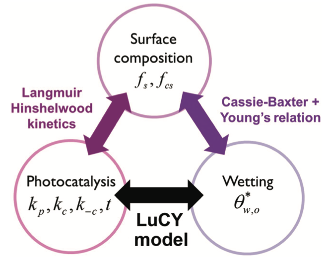 A representative image of LUCY paper.