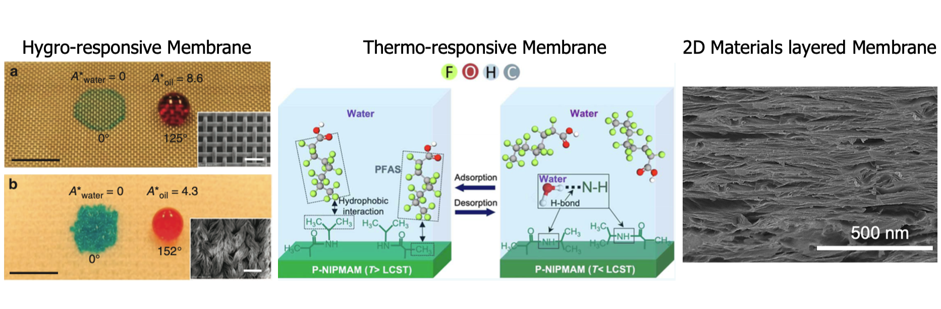 Three pillars of images. The first is labeled hygro-responsive membrane and shows water and oil droplets on different surfaces. The second is labeled thermo-responsive membrane and shows graphs depicting adsorption and desorption. The third is labeled 2D materials layered membrane and shows a surface with label 500 nm.