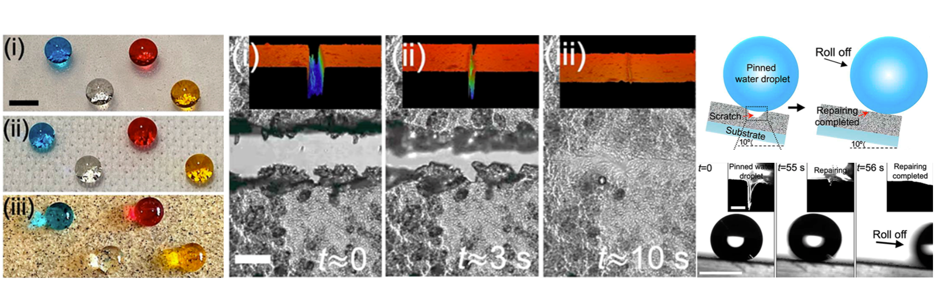 Three pillars of images. The first is a collage of three pictures of liquid droplets on different surfaces. The second is a collage of microscope images labeled t-0, t=3, and t=10. The third is a drawing depicting a pinned water droplet rolling off a substrate.