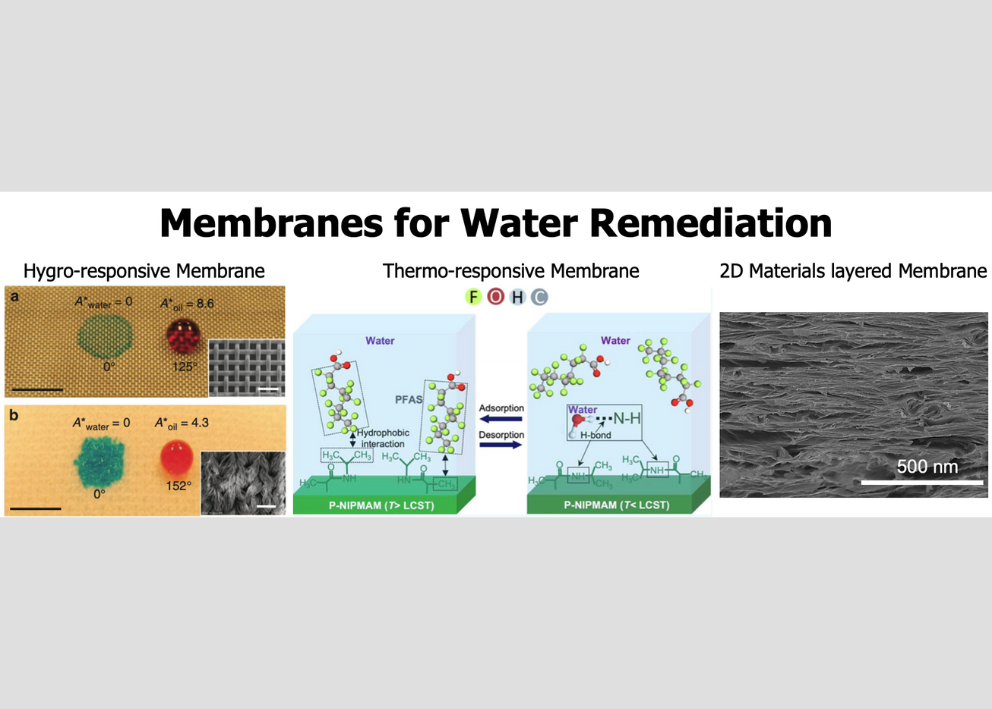 four pictures of graphs with the label "membranes for water remediation"
